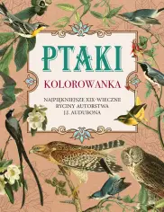 Ptaki. Kolorowanka