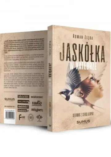 Jaskółka w katedrze