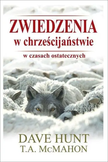 Zwiedzenia w chrześcijaństwie w czasach ostatecznych 