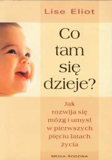 Co tam się dzieje?