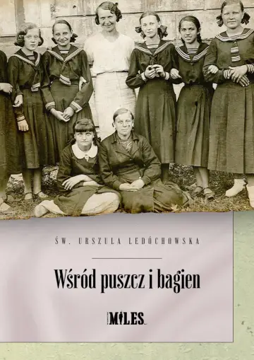 Wśród puszcz i bagien 